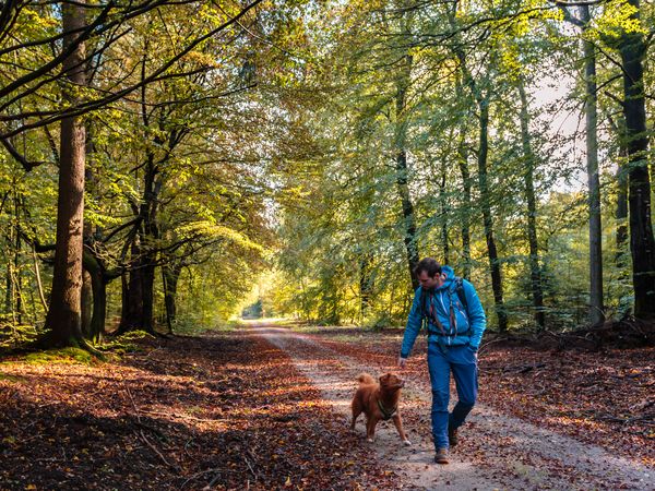 2 Tage Kurzaufenthalt mit Kuschelfaktor in Kupferzell-Eschental, Baden-Württemberg inkl. Halbpension Wellnessurlaub europaweit online kaufen 2 Tage Kurzaufenthalt mit Kuschelfaktor in Kupferzell-Eschental, Baden-Württemberg inkl. Halbpension Wellnessurlaub europaweit online kaufen