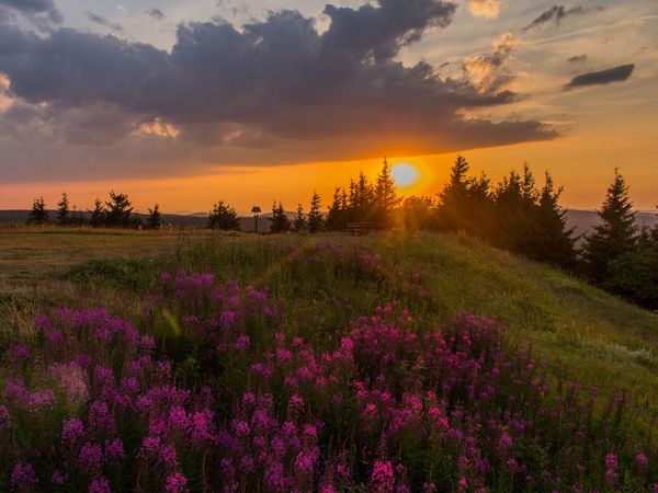 3 Tage Kleine Auszeit im Thüringer Wald in Bad Tabarz, Thüringen inkl. Halbpension Wellnessurlaub europaweit online kaufen