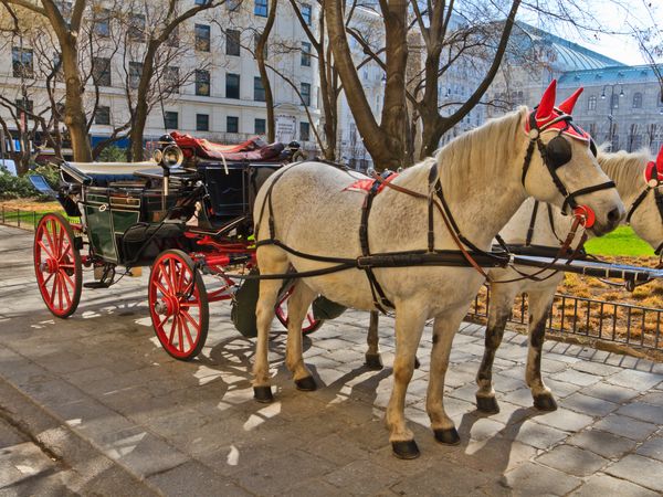 3 Tage Wien mit HP im Altes Kloster Hotel in Hainburg an der Donau, Niederösterreich inkl. Halbpension Wellnessurlaub europaweit online kaufen 3 Tage Wien mit HP im Altes Kloster Hotel in Hainburg an der Donau, Niederösterreich inkl. Halbpension Wellnessurlaub europaweit online kaufen