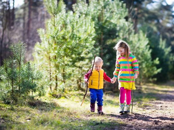 4 Tage Familiensommer Special im re.vita / Harz in Bad Lauterberg, Niedersachsen inkl. Halbpension Plus Wellnessurlaub europaweit online kaufen 4 Tage Familiensommer Special im re.vita / Harz in Bad Lauterberg, Niedersachsen inkl. Halbpension Plus Wellnessurlaub europaweit online kaufen