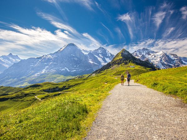4 Tage Halbpension Plus+ zum Spitzenpreis – Genuss inklusive in Bayerisch Eisenstein, Bayern inkl. Halbpension Plus Wellnessurlaub europaweit online kaufen