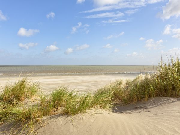 4 Tage Strand und Nationalpark - Halbpension inkl. in Misdroy (Miedzyzdroje), Westpommern inkl. Halbpension Wellnessurlaub europaweit online kaufen 4 Tage Strand und Nationalpark - Halbpension inkl. in Misdroy (Miedzyzdroje), Westpommern inkl. Halbpension Wellnessurlaub europaweit online kaufen