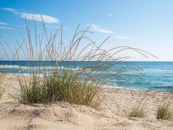 5 Tage Last Minute März Special Frühlingserwachen in Neuharlingersiel OT Ostbense, Niedersachsen inkl. Halbpension Wellnessurlaub europaweit online kaufen 5 Tage Last Minute März Special Frühlingserwachen in Neuharlingersiel OT Ostbense, Niedersachsen inkl. Halbpension Wellnessurlaub europaweit online kaufen