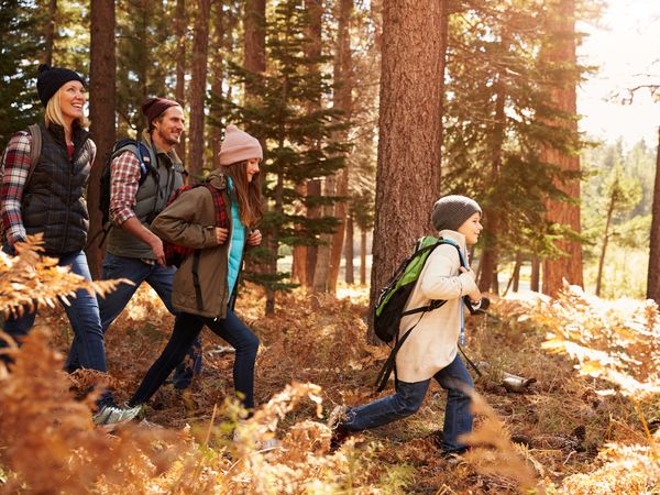 6 Tage Familiensommer Special im re.vita / Harz in Bad Lauterberg, Niedersachsen inkl. Halbpension Plus Wellnessurlaub europaweit online kaufen 6 Tage Familiensommer Special im re.vita / Harz in Bad Lauterberg, Niedersachsen inkl. Halbpension Plus Wellnessurlaub europaweit online kaufen