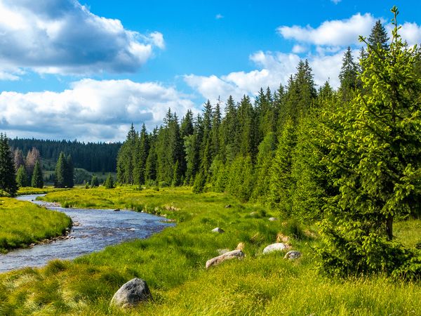 8 Tage Auszeit im Burg-Hotel im Hohen Bogen in Neukirchen b.Hl.Blut, Bayern inkl. All Inclusive Wellnessurlaub europaweit online kaufen