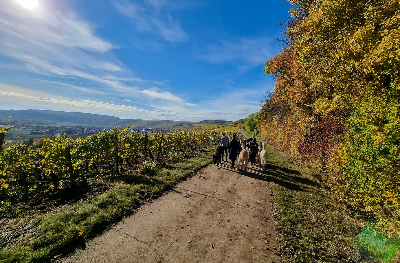 Kurzurlaub für bis zu 5 Personen Dipbach (2 Nächte) Wellnessurlaub europaweit online kaufen